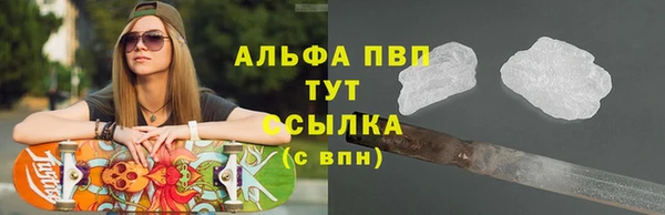 прущий лед Абаза