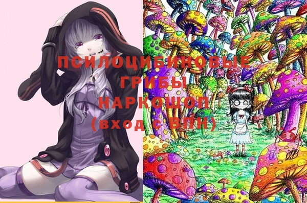 прущий лед Абаза