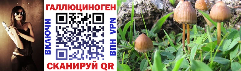 Галлюциногенные грибы GOLDEN TEACHER купить наркотик Фёдоровский